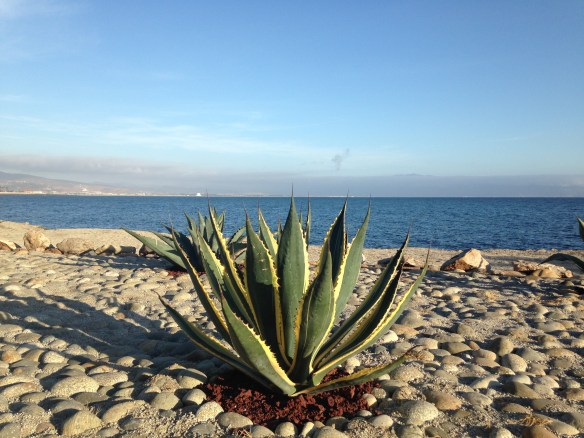 El hermoso mar de Ensenada.  Foto: María A. Mejía